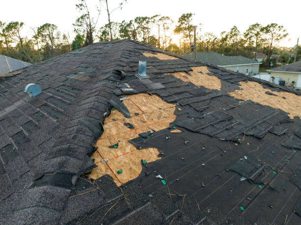Best Sheet Metal Roofing  in Waukegan, IL